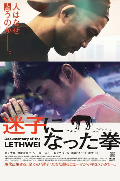 Lost Fist poster