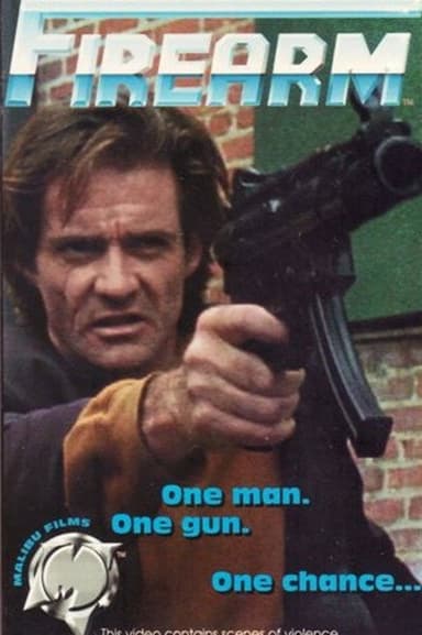 Firearm poster