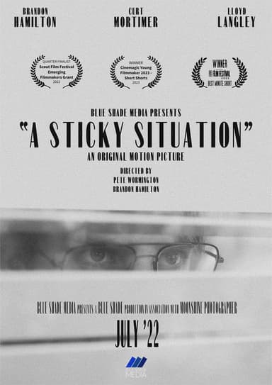 A Sticky Situation poster