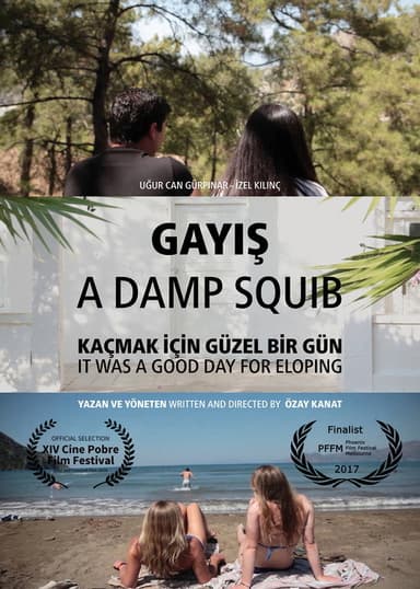 A Damp Squib poster