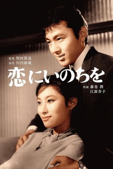 Love and Life poster