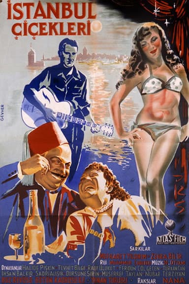 İstanbul Çiçekleri poster
