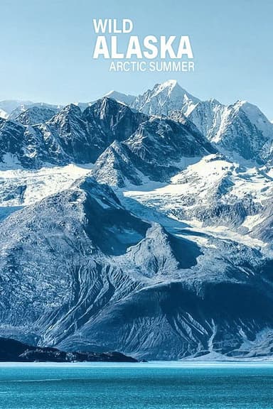 Wild Alaska: Arctic Summer poster