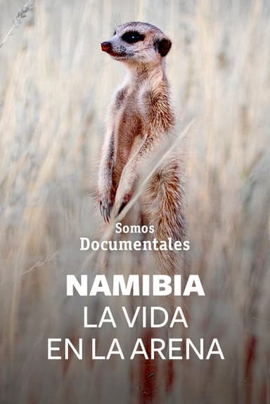 Namibie, la vie des sables poster
