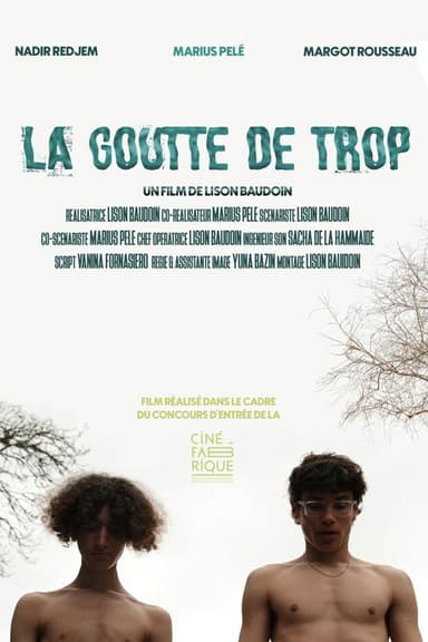 La goutte de trop poster