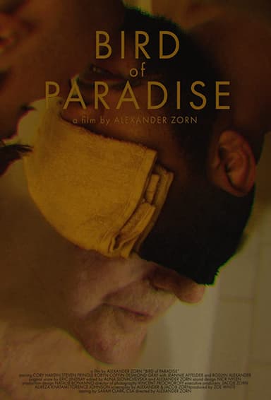 Bird of Paradise poster