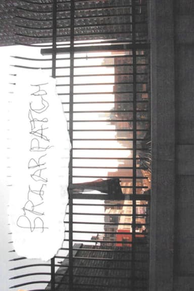 Briarpatch poster