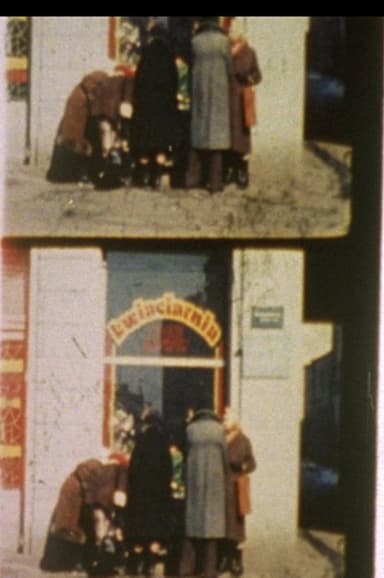 Notes for a Polish Jew poster