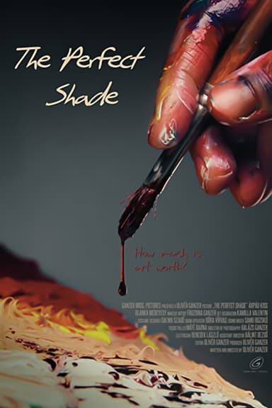 The Perfect Shade poster
