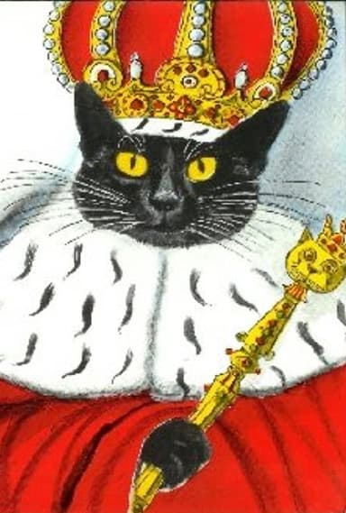 King of the Cats poster