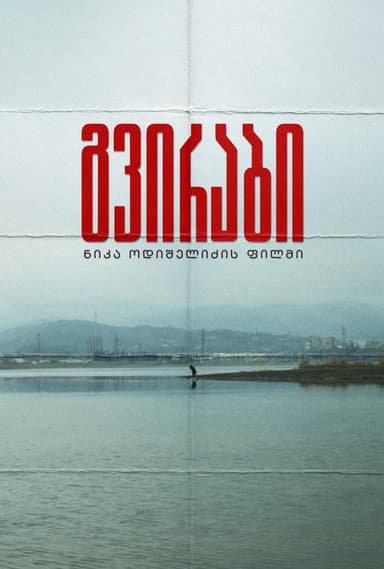 გვირაბი poster