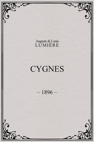 Cygnes poster