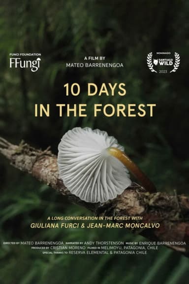 10 Days in the Forest poster