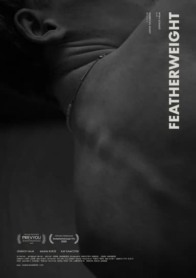 Fliegengewicht poster