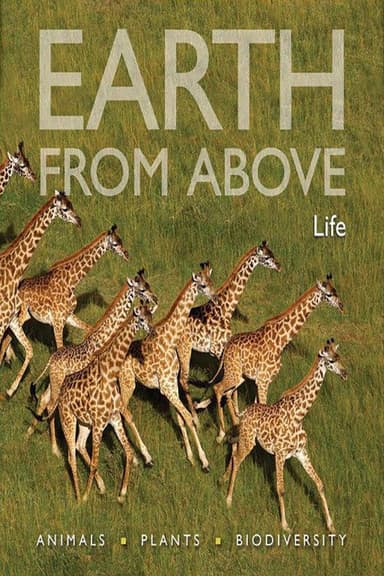 Earth From Above: Life poster