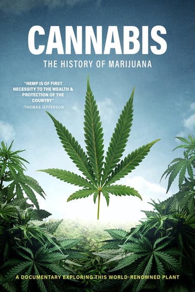 Cannabis poster