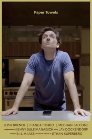 Paper Towels poster