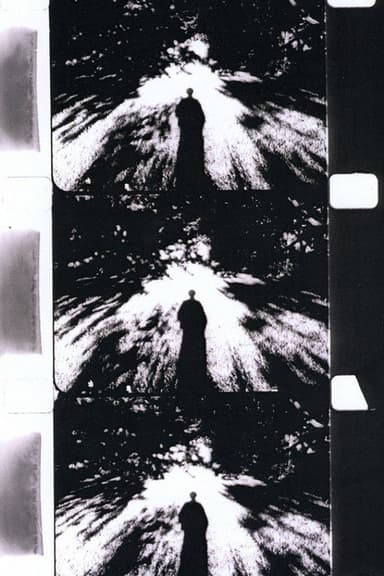 Imaginary Light poster