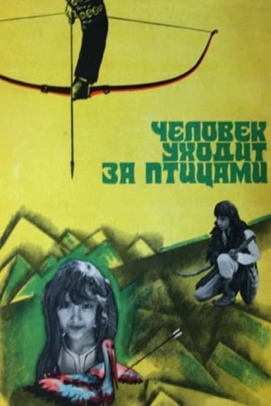 Man Follows Birds poster