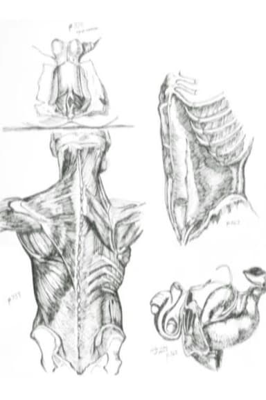 Médicalement poster
