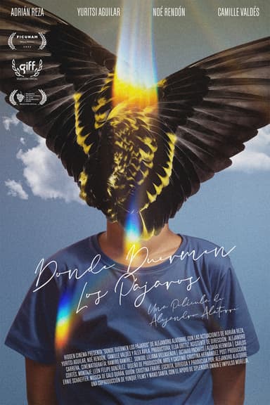 Where Birds Dream poster