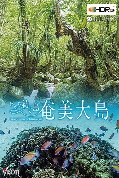 Amami Ashima Island poster