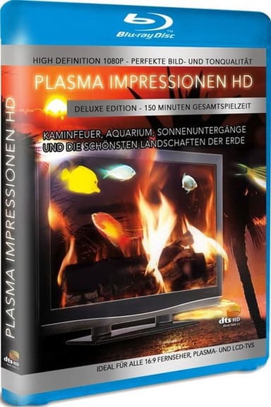 Plasma Kamin HD - 9 Kaminfeuer Impressionen poster