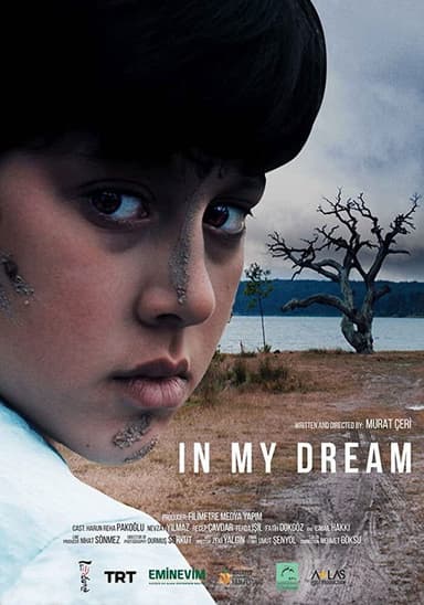 In My Dream poster