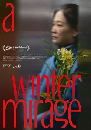 A WINTER MIRAGE poster