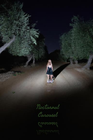 Nocturnal Carousel poster