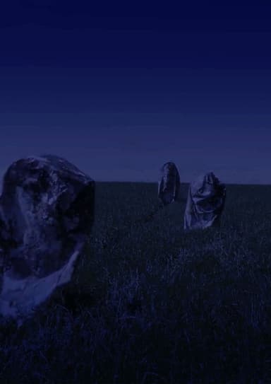 Stone Hatch poster