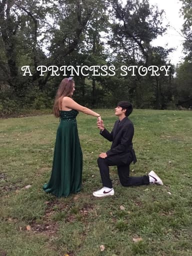 A Princess Story poster