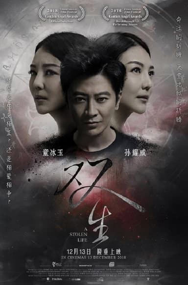 A Stolen Life poster