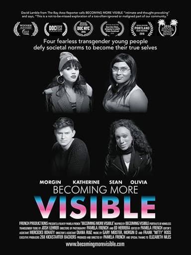 Becoming More Visible poster