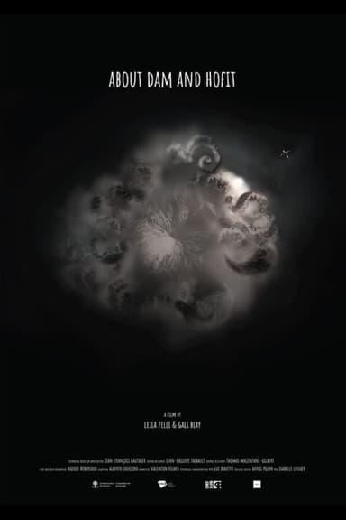 About Dam and Hofit poster