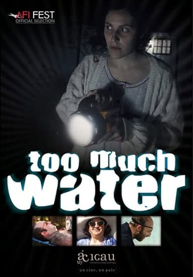 Too Much Water poster