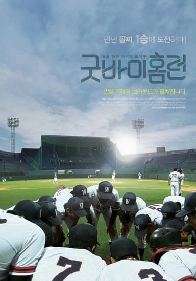 Goodbye Homerun poster