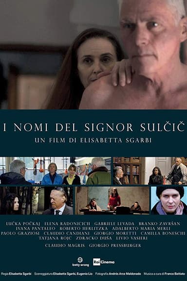 The Names of Mr. Sulcic poster