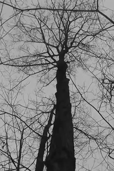 Untitled - [Into The Wild] poster
