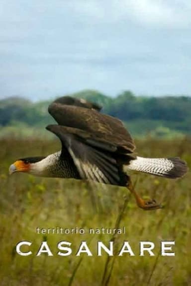 Territorio natural Casanare poster