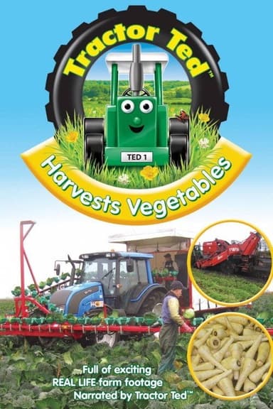 Tractor Ted Harvests Vegetables poster