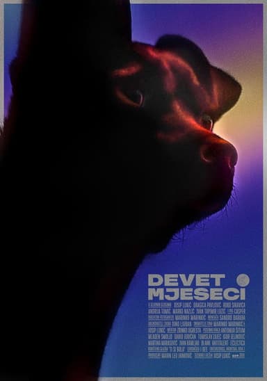 Nine Months poster