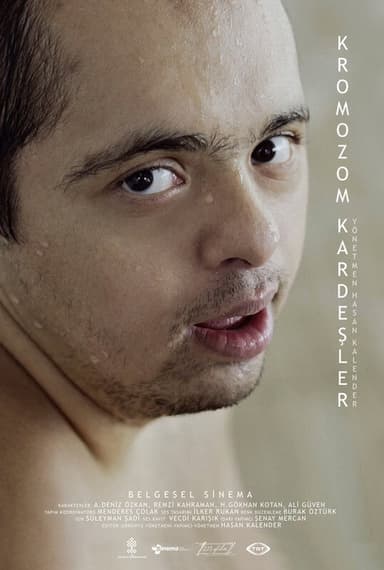 Kromozom Kardeşler poster