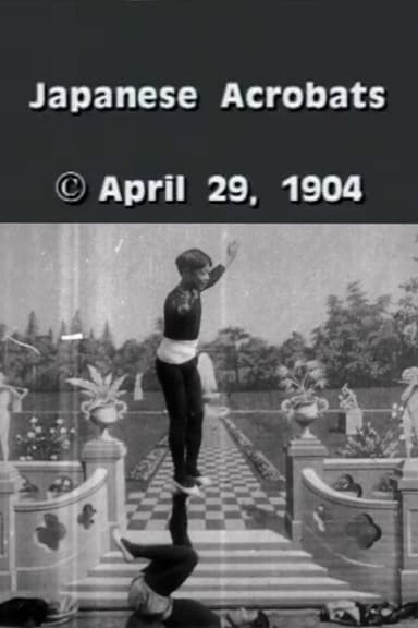 Japanese Acrobats poster