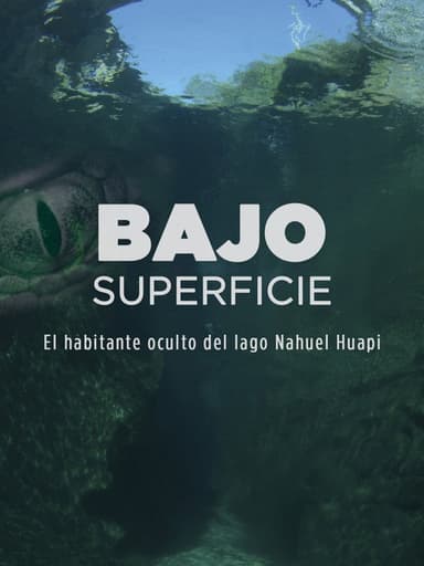Bajo superficie poster