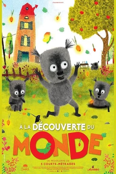 Discovering the World poster