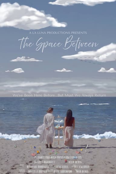 The Space Between poster