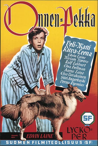 Onnen-Pekka poster