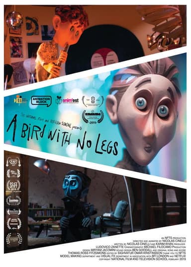 A Bird With No Legs poster