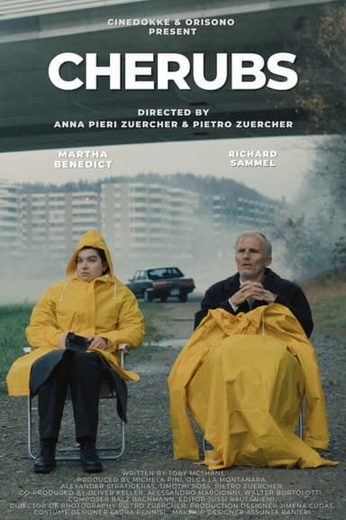 Cherubs poster